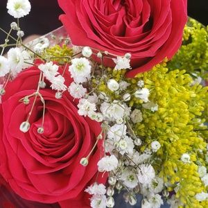 Meet your Posher, Norma